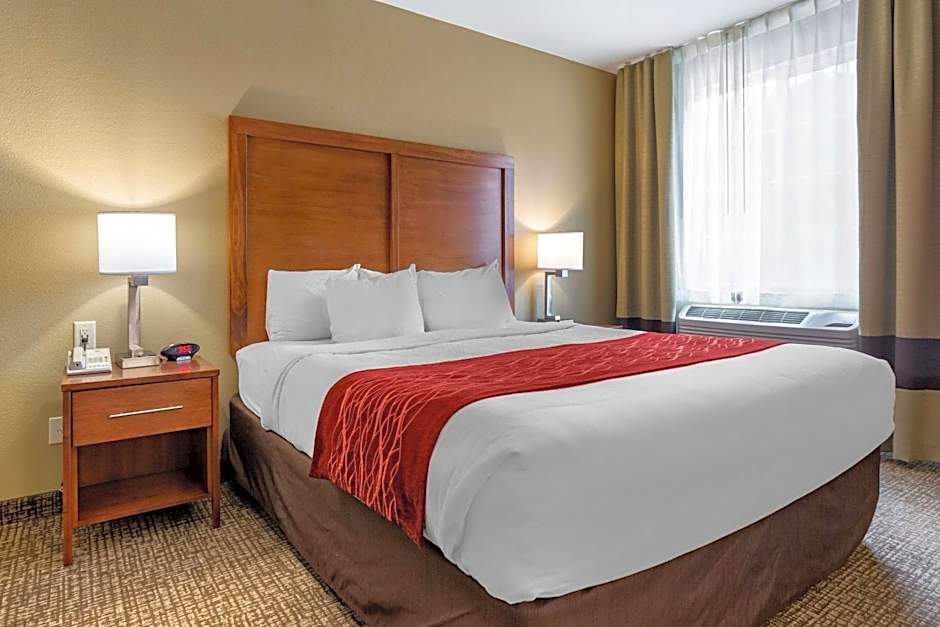 Comfort Inn & Suites Near Mt. Rushmore