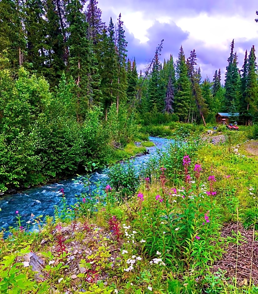 Carlo Creek Cabins