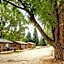 Vista Court Cabins & Lodge