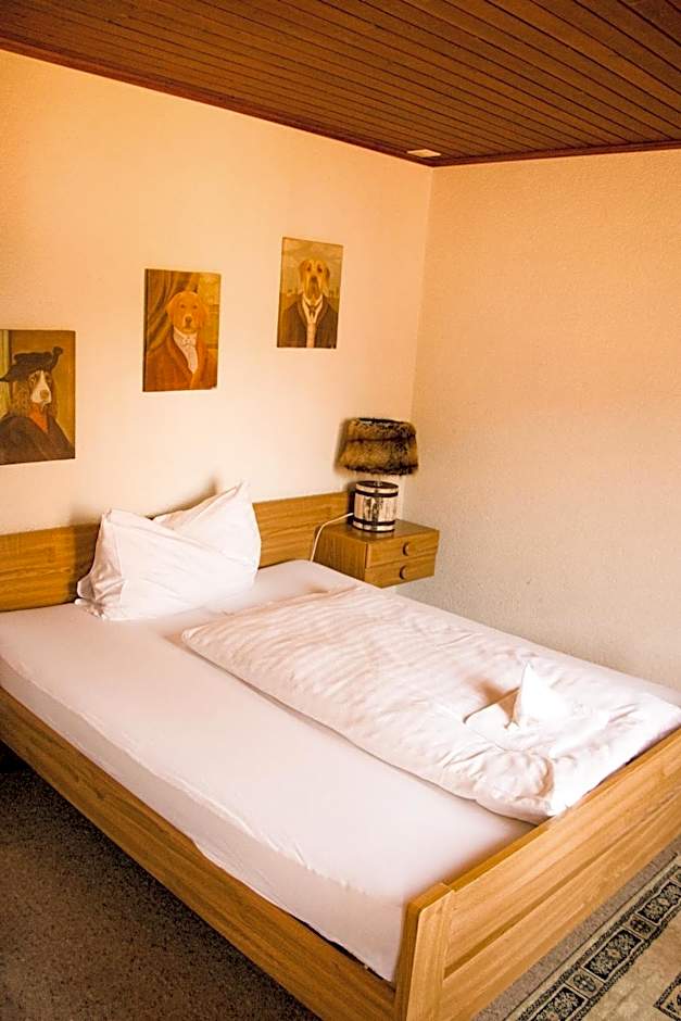 Hotel Rothorn Vintage-Style