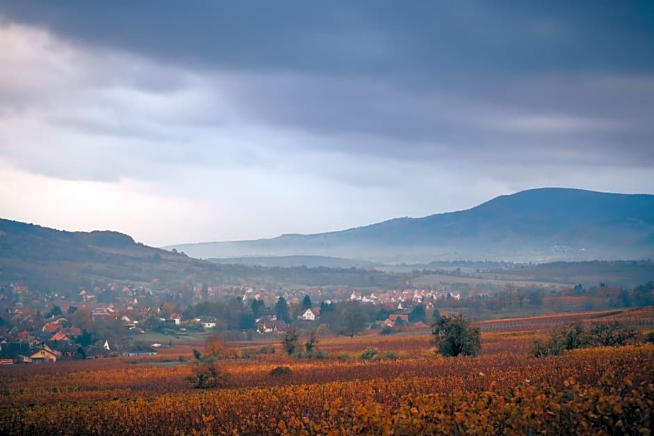 Le Rosenmeer - Hotel Restaurant, au coeur de la route des vins d'Alsace