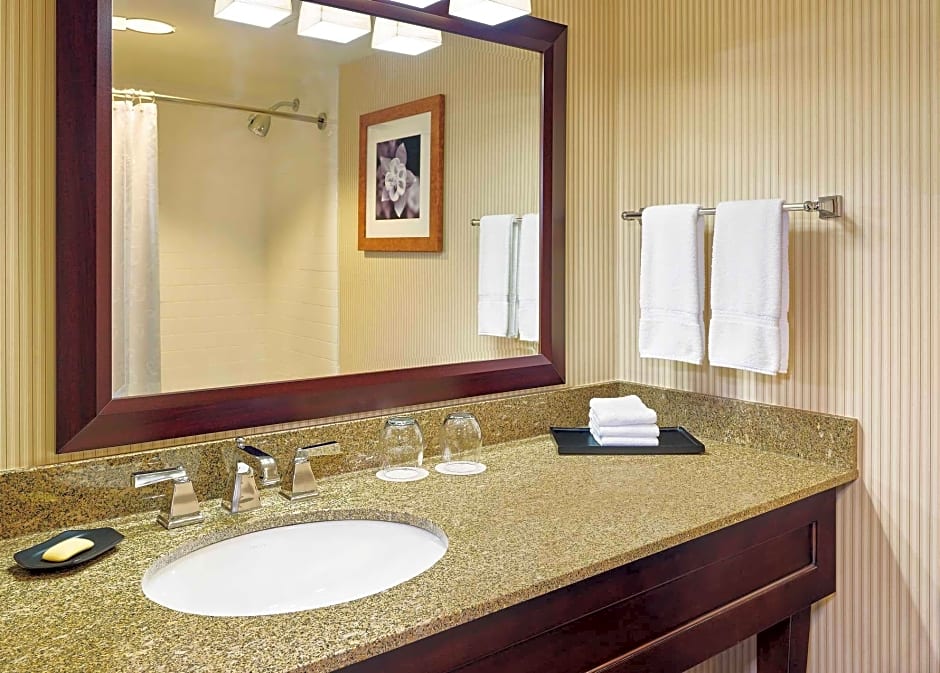 Blue Ridge Hotel and Conference Center – Roanoke, VA