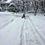 Shirokuma Lodge Hakuba