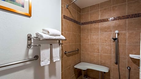 2 DOUBLE BEDS, MOBILITY ACCESSIBLE, ROLL IN SHOWER, Non-smoking, FULL BREAKFAST