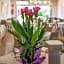 Hotel Atenea Golden Star