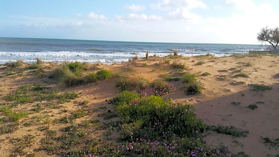 Mediterraneo