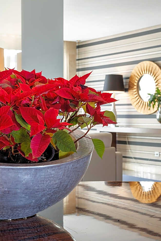 Hotel Porta do Sol Conference & SPA