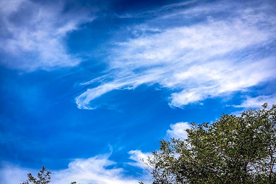 Torraccia di Chiusi Agriturismo Relais