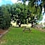 Bundaberg Spanish Motor Inn