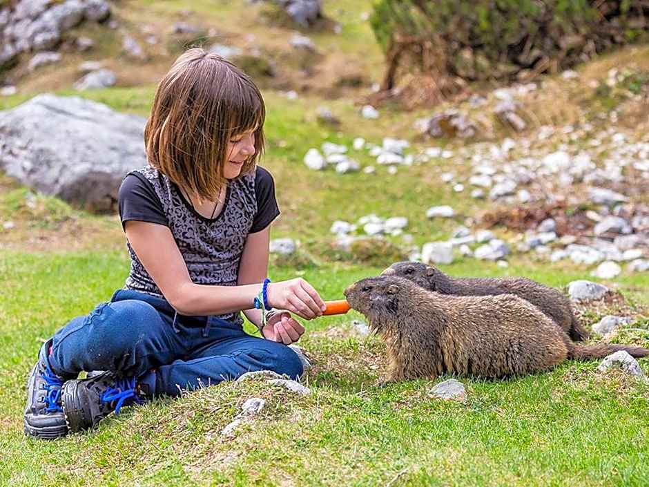 Landhotel Alpenhof Filzmoos