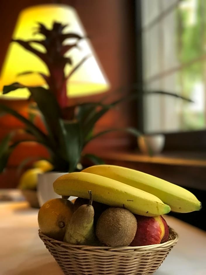 Parkhotel Bergheim