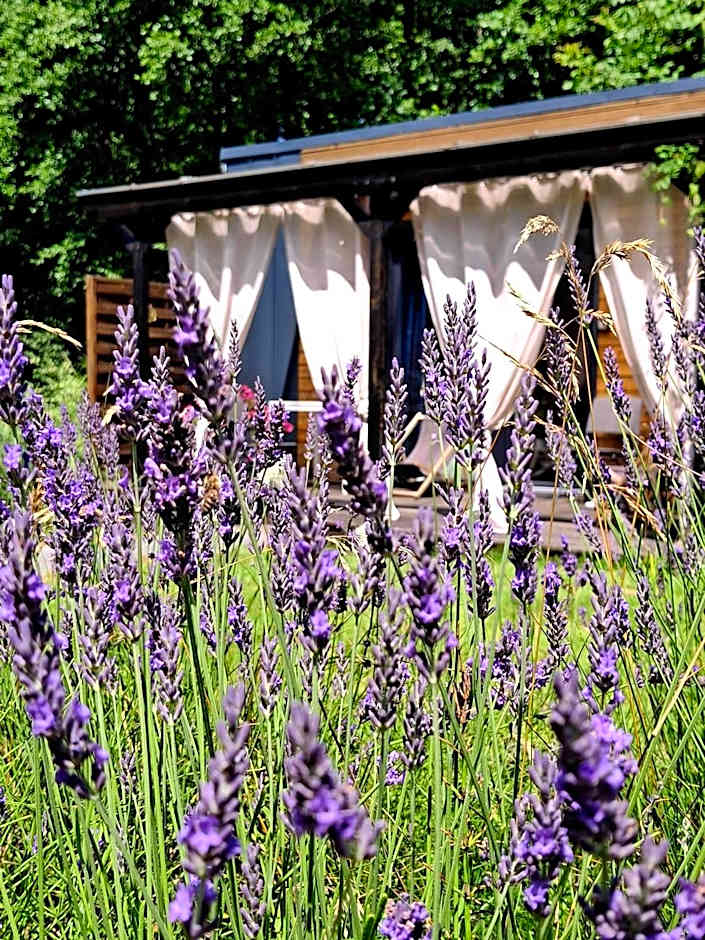 main