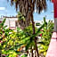 Hotel Los Arcos Holbox