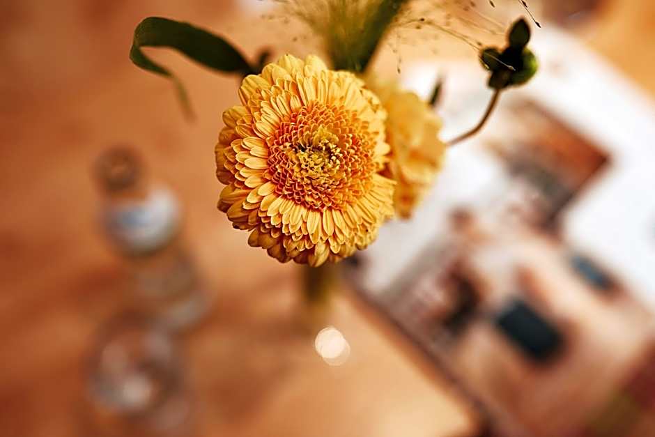 Donauhotel Lettnerhof