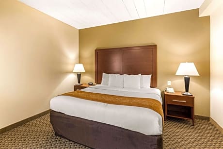 1 King Bed, Suite, Nonsmoking