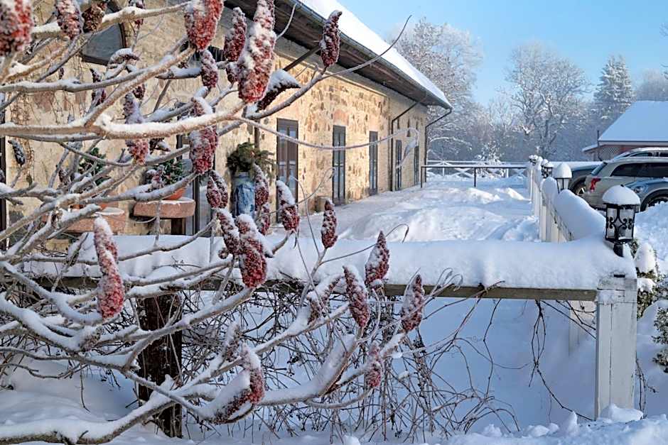 Üksik Rüütel Hotel