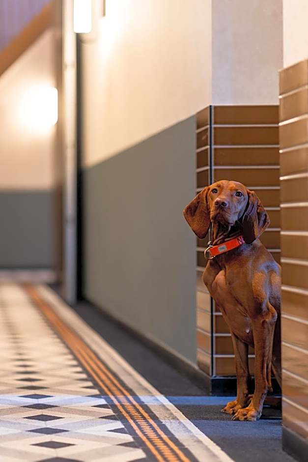 Ocean House Scheveningen