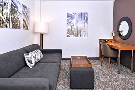 King Studio with Sofa Bed