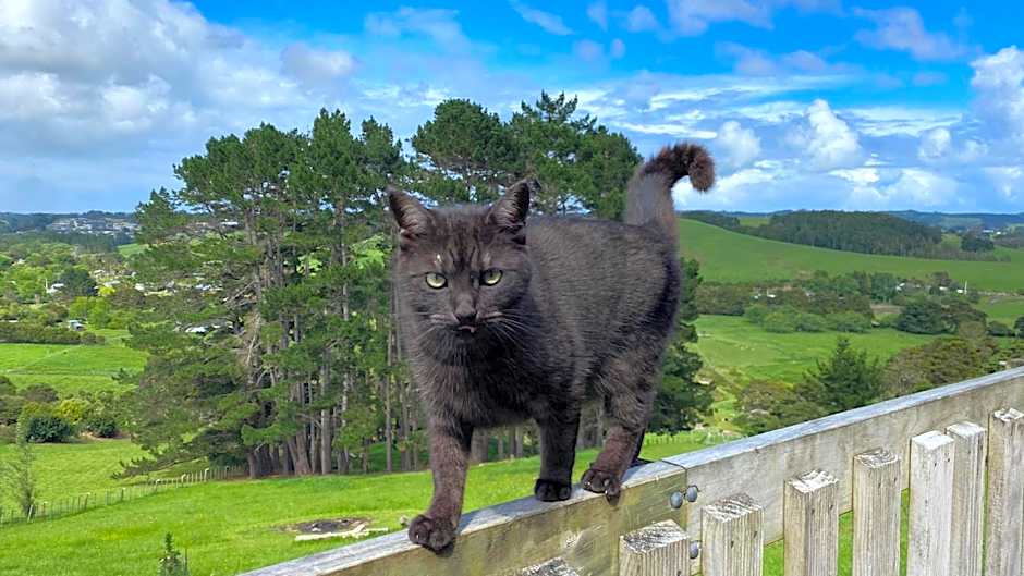 Pukeatua Farmstay