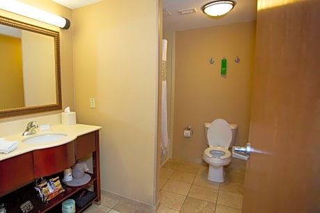 1 King Bed 1 Bedroom Suite Nonsmoking