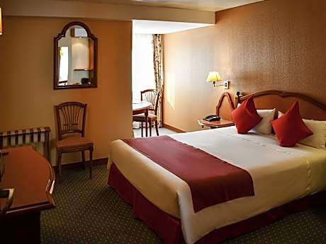 Superior Room with a double bed