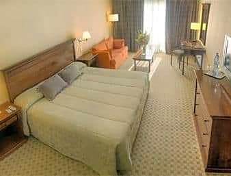 1 King Bed Suite With Wi-Fi And