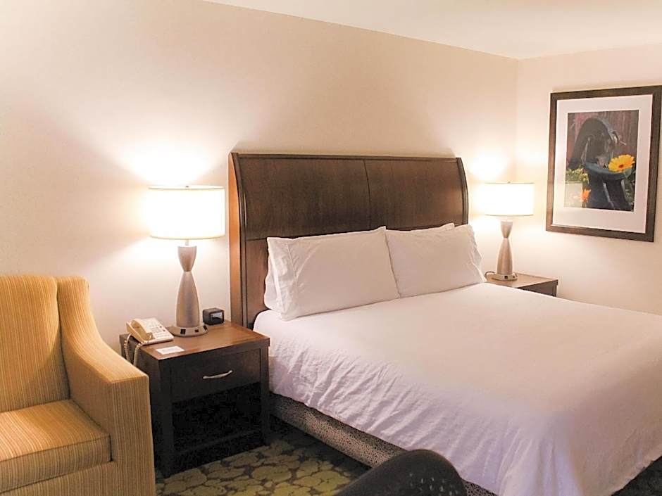 Photo 1 of 5 of 1 King Bed, Hearing/Mobility Accessible, Roll in Shower