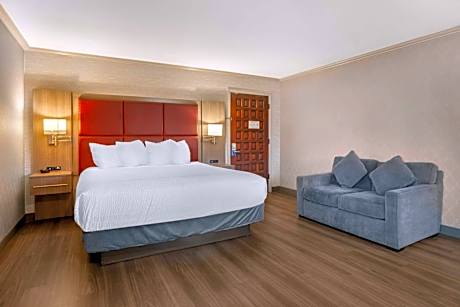 Suite-1 King Bed, Non-Smoking, Jetted Tub, Microwave And Refrigerator, High Speed Internet Access, C