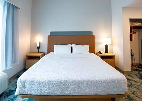 1 King Bed 1Bdrm Suite W/ Sofabed Nonsmoking