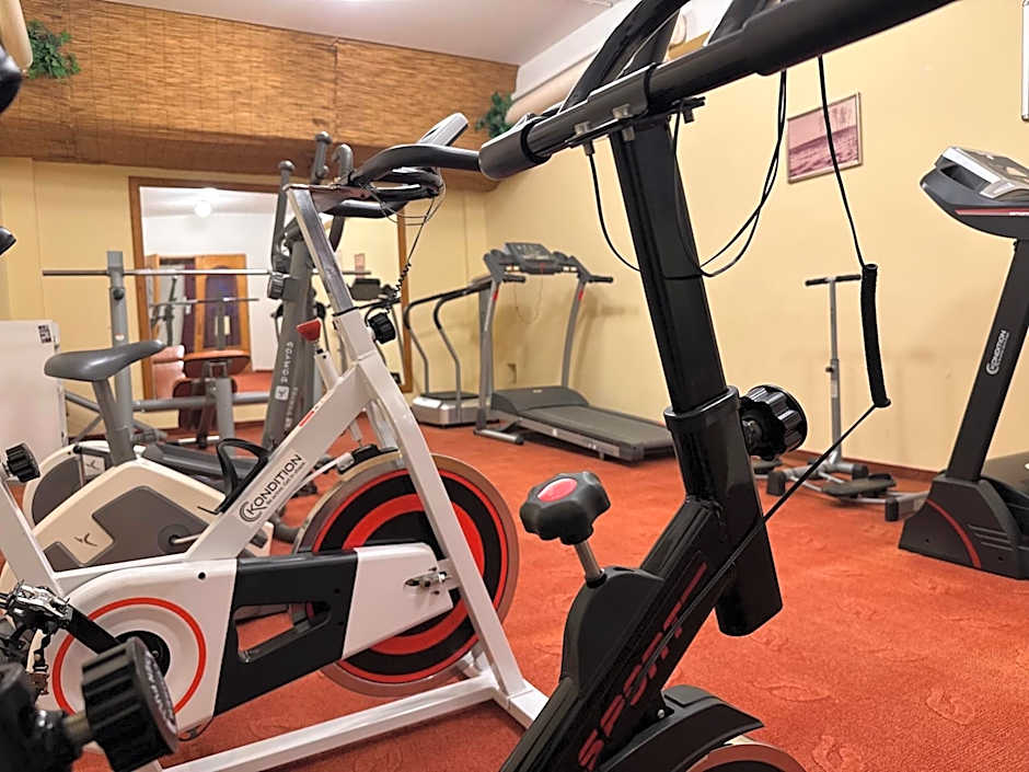 Mátyás Király Gyógy- és Wellness Hotel