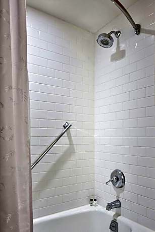 Traditional, Guest room, 1 King