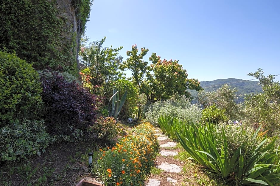 Pietrantica - Affittacamere con giardino NUOVA APERTURA a Trebiano -CITR