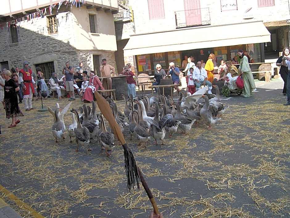 Hotel Restaurant Aux Armes D'Estaing - KB HOTEL GROUP