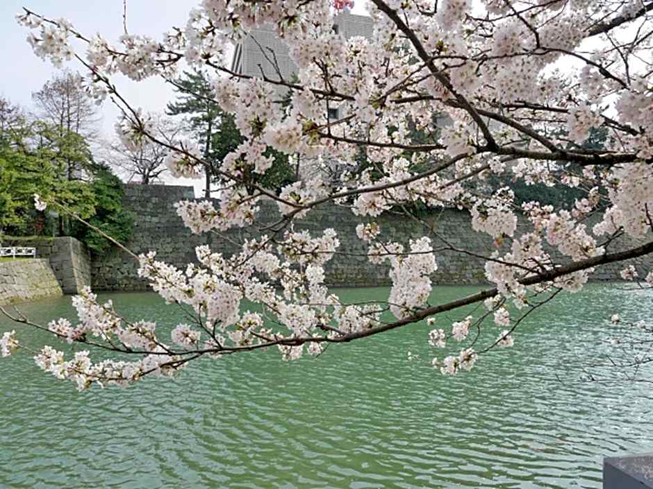 Hotel Fukui Castle - Vacation STAY 58682v