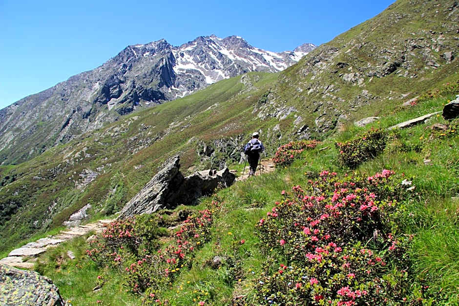 Residence Sonnenburger - Biobauernhof - Azienda agricola biologica
