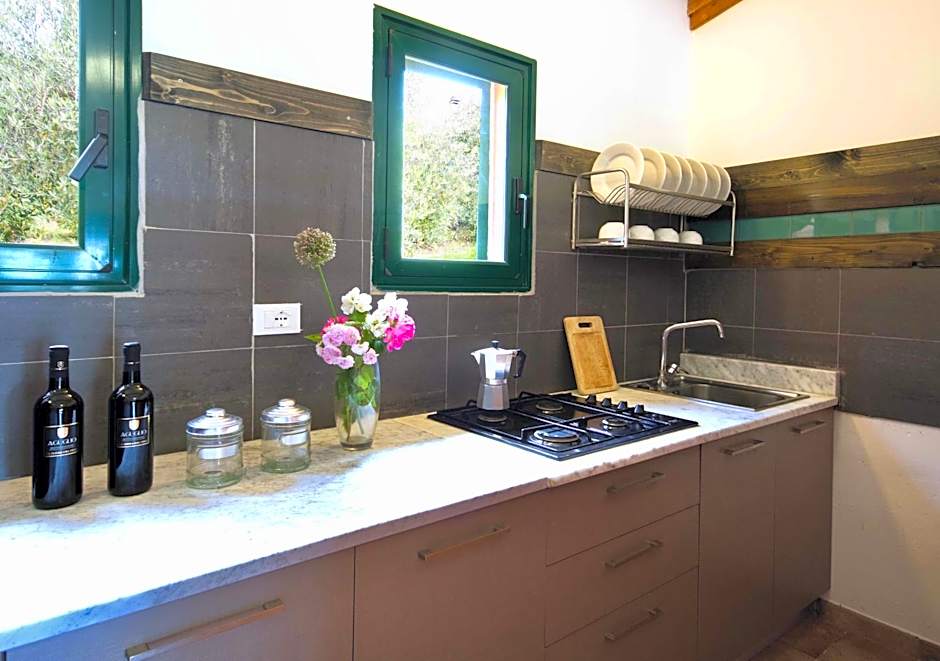 Residence with swimming - pool in Guardistallo