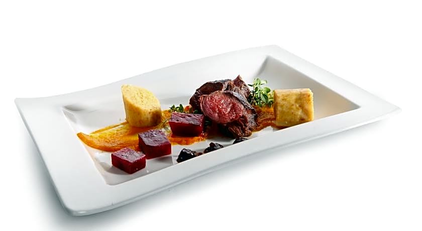 Hotel Zdraviliski dvor