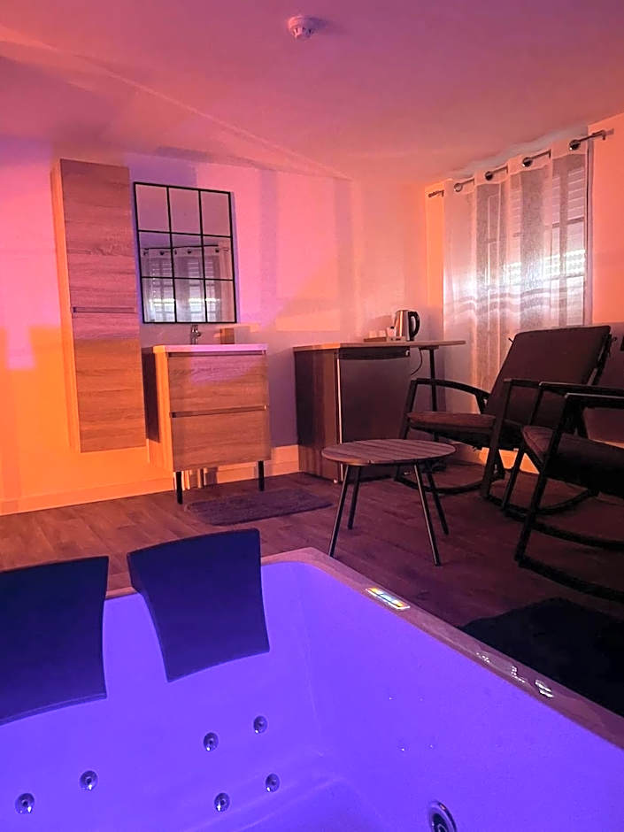 Magnifique Loft 35m2 Jacuzzi RVB NIGHT 1
