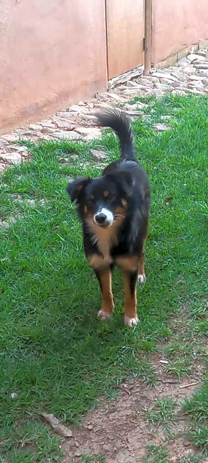 Pousada Campestre Vila Tiradentes
