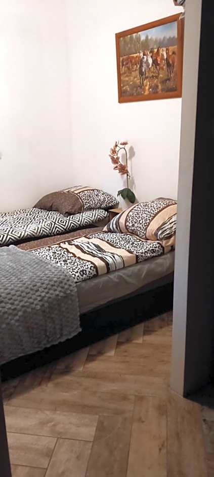 Domki Letniskowe oraz Chata Grillowa " Nad Zalewem "Bliżyn