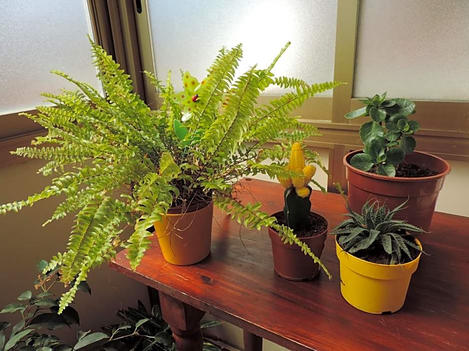 Bed and Breakfast Il Girasole