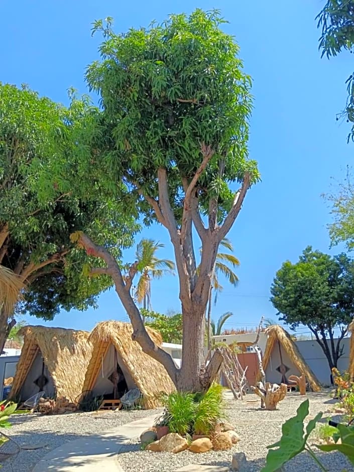 TRIBU Glamping & beach view