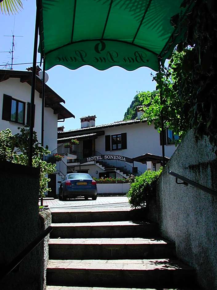 Hotel Sonenga