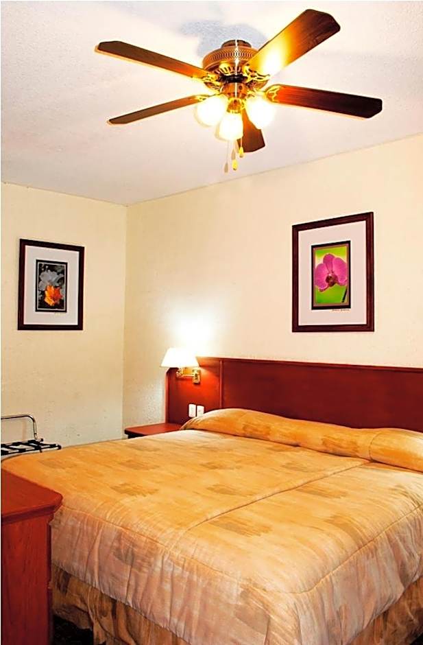 Hotel Marcella Clase Ejecutiva