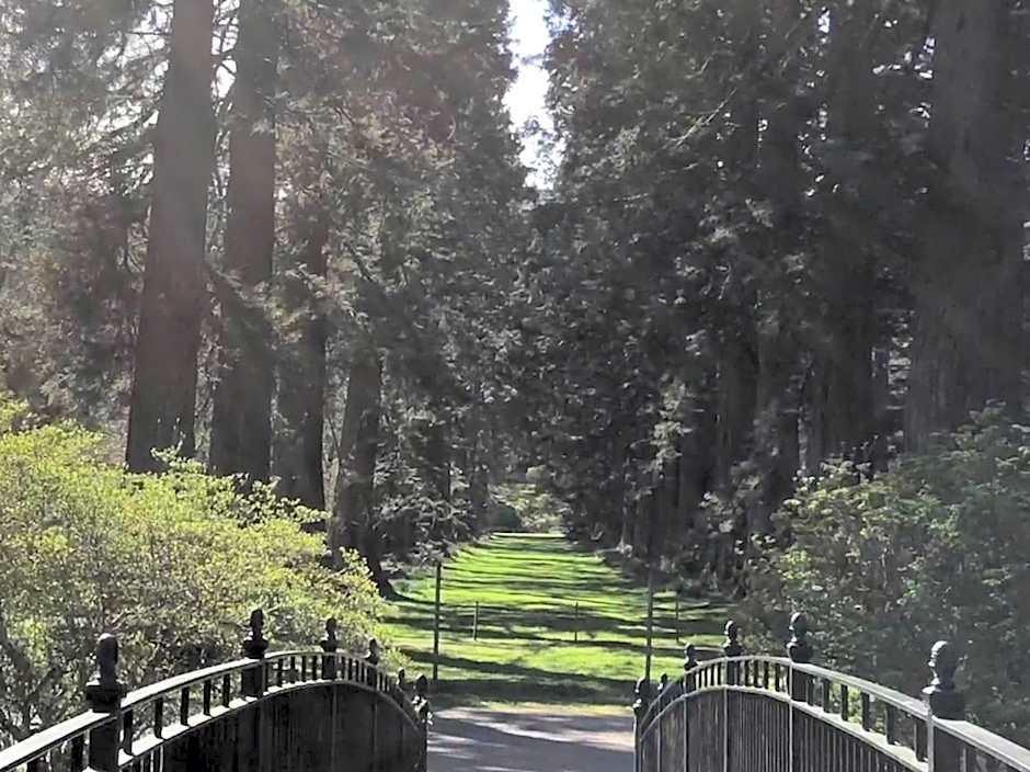 Pucks Glen Lodges - Cosy Lodges in a Woodland Setting