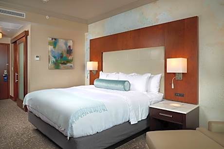 Guest room, 1 King, City view