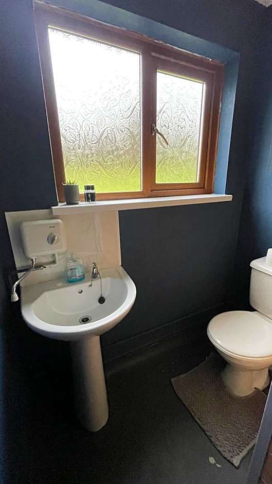 Bryn Bettws Log Cabins Ltd