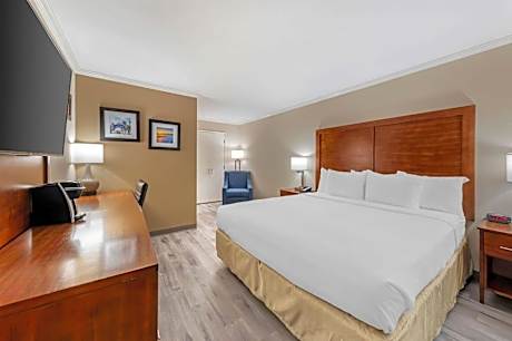 Standard one Queen Bed - Non-Smoking