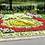 Hotel Bellevue Tlapak