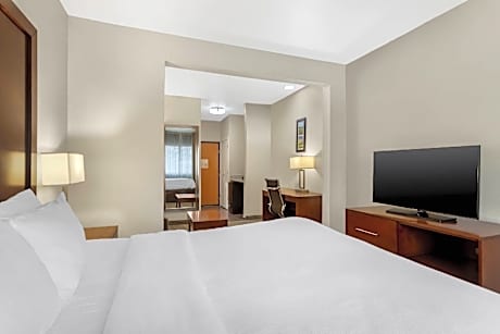 1 King Bed Suite Nonsmoking